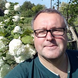 ������, 50 ���, ���������