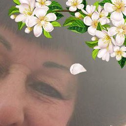 ��������, ��������, 64 ����