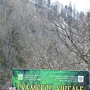 ���� ����, ��������, 59 ��� - ��������� 12 ������� 2024 � ������ ���� ����������