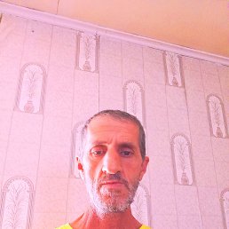 , 51, 