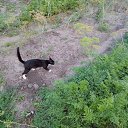 ���� �������, ������, 41 ��� - ��������� 2 �������� 2026 � ������ ���� ����������