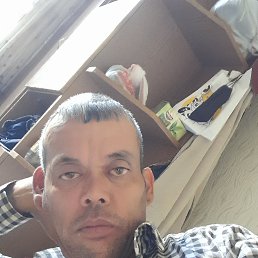 , 44 , 