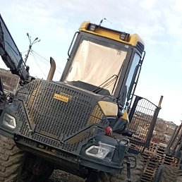 ������, ������, 37 ���