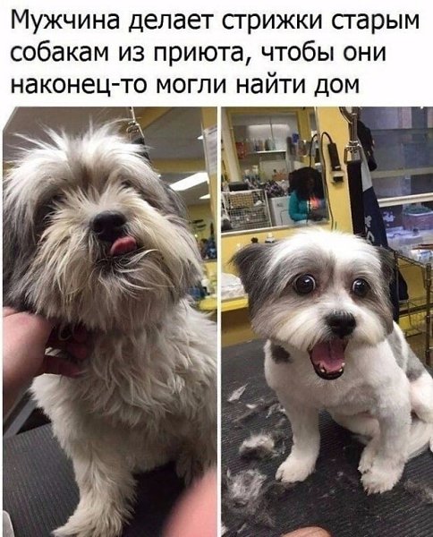      !