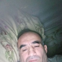 ����, 41 ���, ����