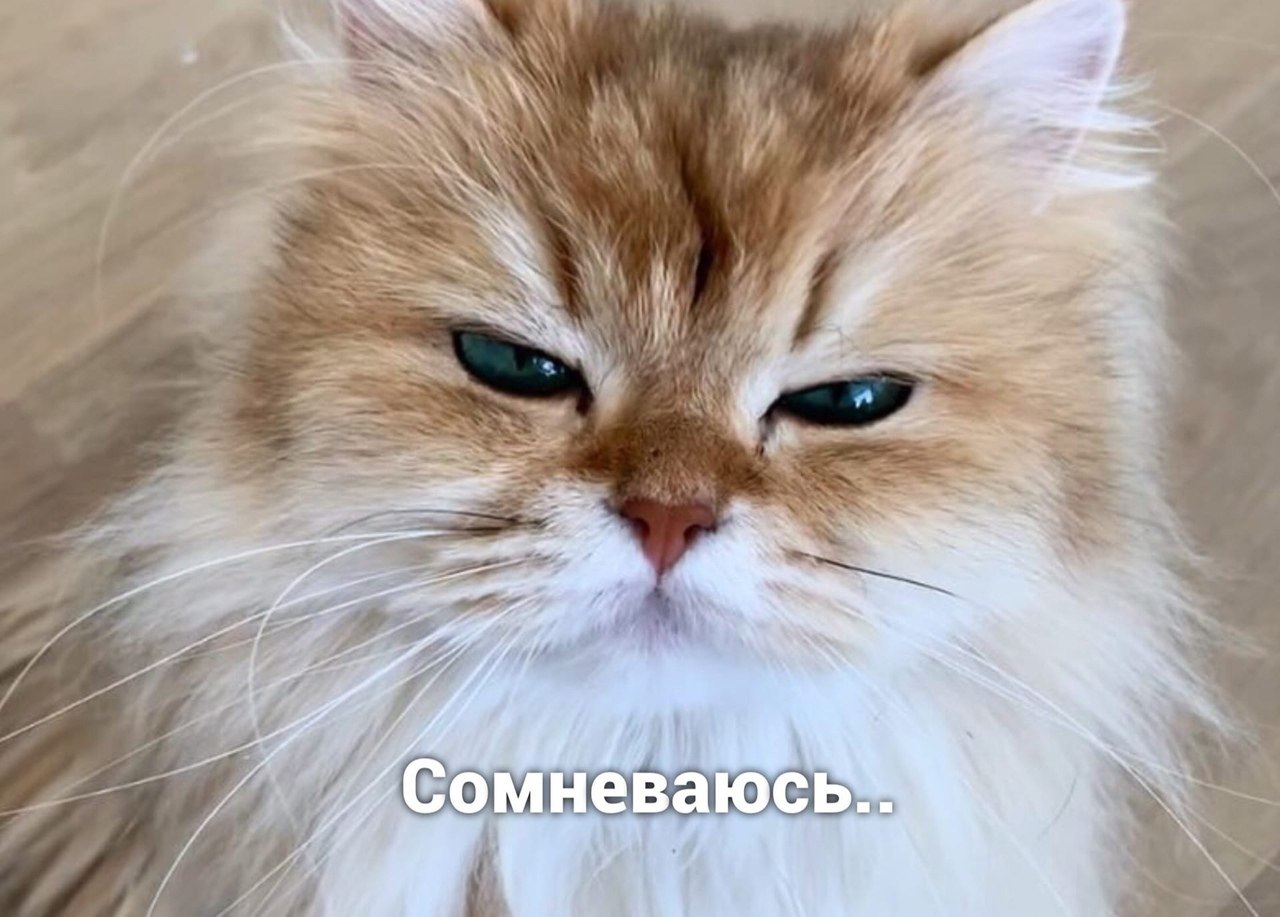 ��� ����� - 3