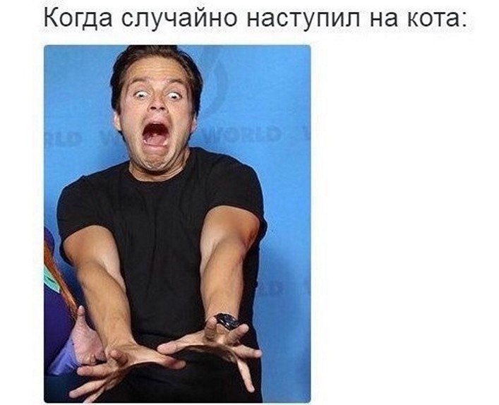 ? ,  ! - 20  2025  04:49