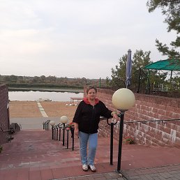 , , 65 
