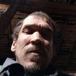 �������, �������, 41 ���