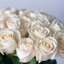 ���� ������, ���������, 43 ���� - ��������� 28 �������� 2025