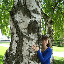 ��������, ������ ��������