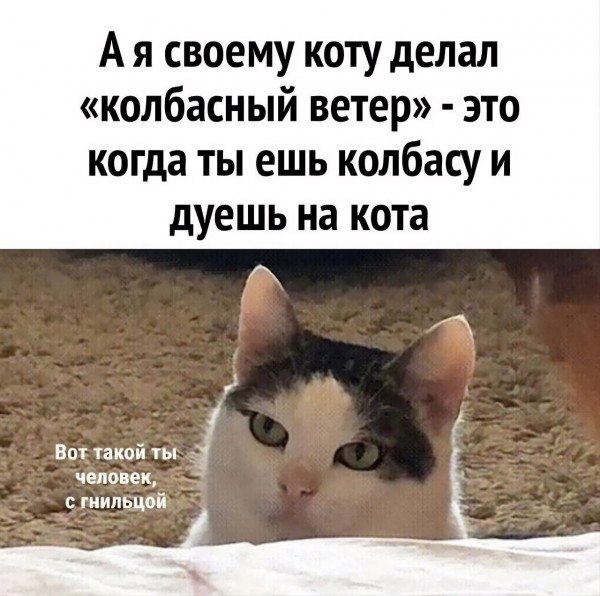  - 24  2025  16:30