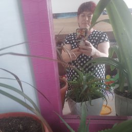 ���� �������, ����-���, 51 ��� - ��������� 12 ������� 2026