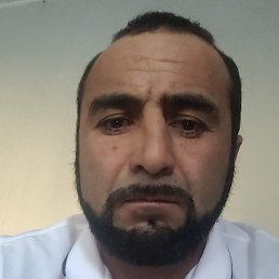 ����, ���, 41 ���