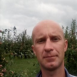 , 39, 