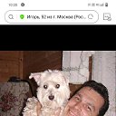 ���� �����, ������, 54 ���� - ��������� 12 ������� 2024 � ������ ���� ����������