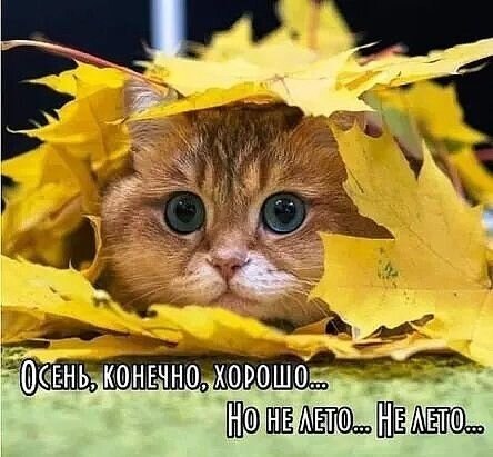 � - 3 �������� 2026 � 12:37