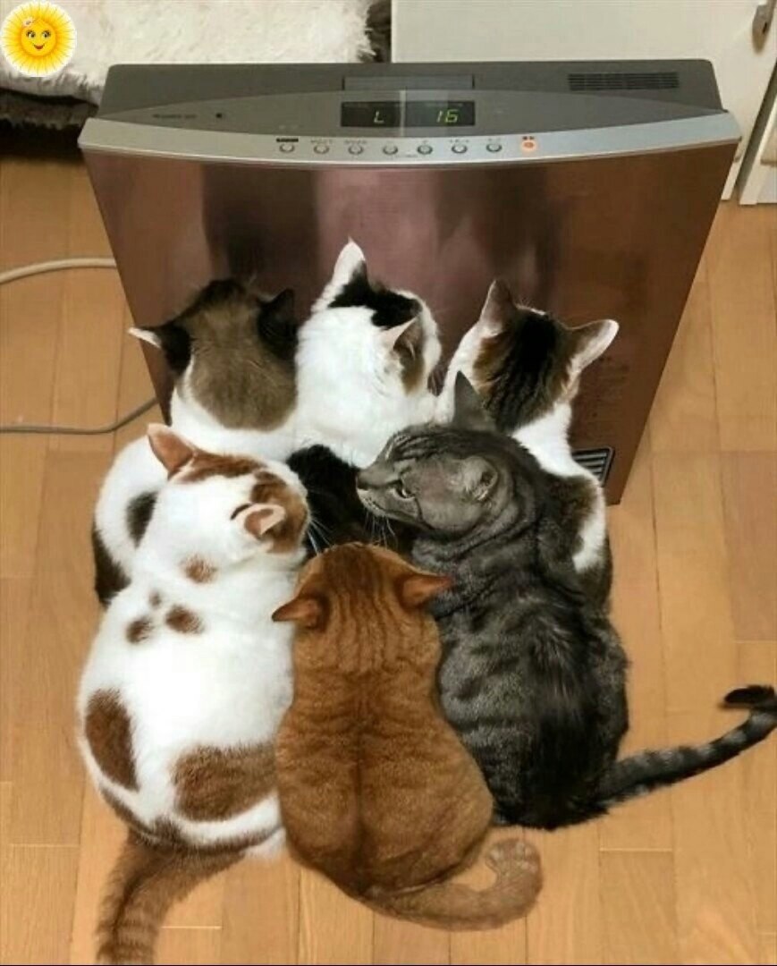  .   ...