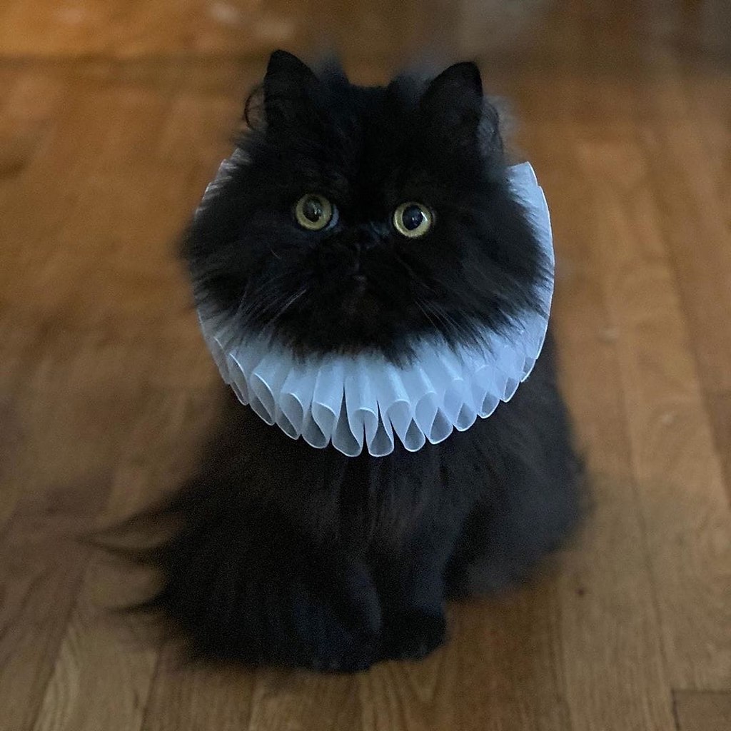 ��� � ����! - 5