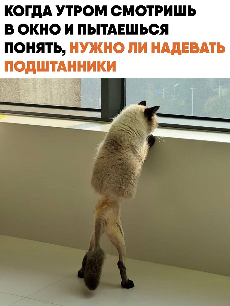 ����� ���� ����� ��������� ��������� �������� ������ � ���� �������� ����������� �����������. ������ ...