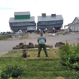 �������, 37 ���, �������