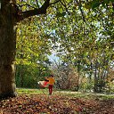 ���� ��������, ������� - ��������� 27 ������� 2024 � ������ ������ ��������