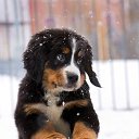 ���� �����, ������, 67 ��� - ��������� 15 ������� 2023 � ������ ������ ��������