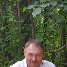 , 54 , 
