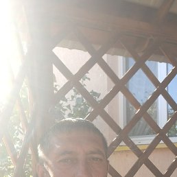 �����, �����������, 40 ���