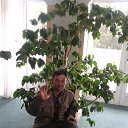 ���� ��������, ���������, 54 ���� - ��������� 22 ���� 2024 � ������ ���� ����������