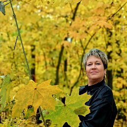 ��������, ���������, 53 ����