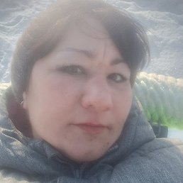 �����, �������, 41 ���