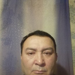 , 53, 