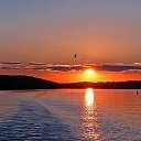 ���� ��������, ��������, 52 ���� - ��������� 21 ������ 2025 � ������ ���� ����������