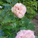 ���� ������, �����-���������, 62 ���� - ��������� 25 �������� 2025 � ������ �������