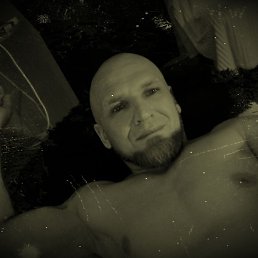 ����, ����������, 40 ���