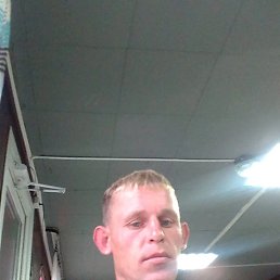 ������, 33 ����, ������