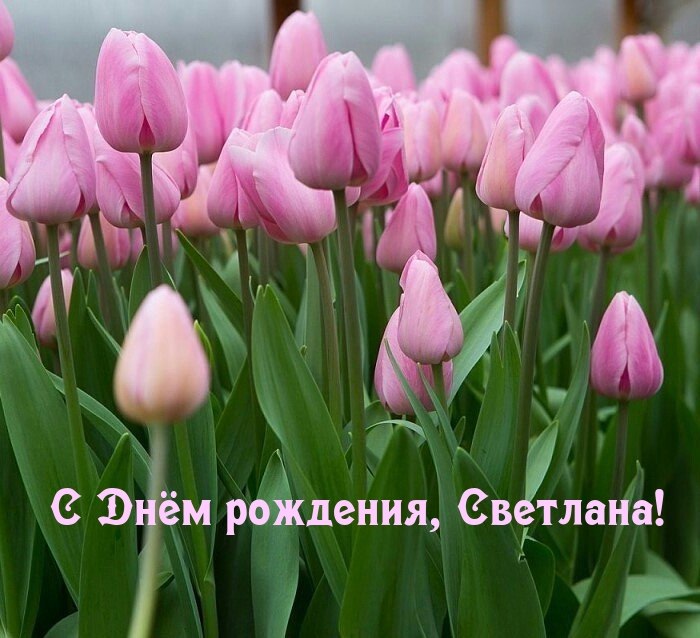   ,    . - 14  2024  13:48
