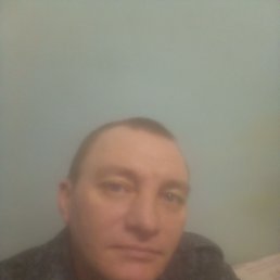 ���������, 39 ���, ���������