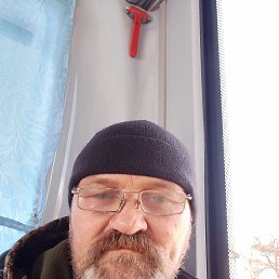 , 55, 