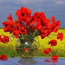 ���� �������, ������ - ��������� 9 ������� 2024