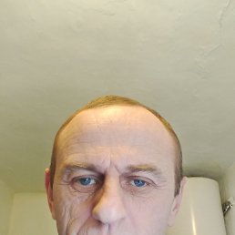 ������, 48 ���, ���������