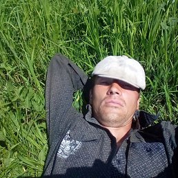 ������, ������, 40 ���