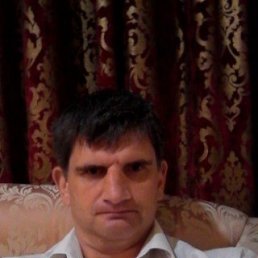 , 48, 