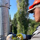 ���� �����, ������������, 47 ��� - ��������� 15 ������� 2025 � ������ ���� ����������