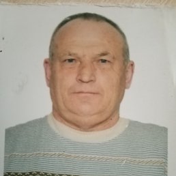 , 54, 