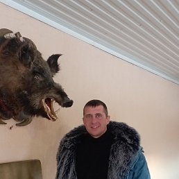 , 38,  