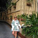 ���� �����, �����-���������, 51 ��� - ��������� 23 ������ 2026 � ������ ���� ����������