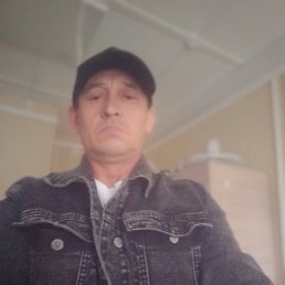 , 51, 