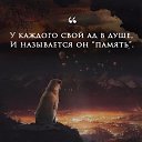 ���� ������, ����, 37 ��� - ��������� 25 ��� 2026